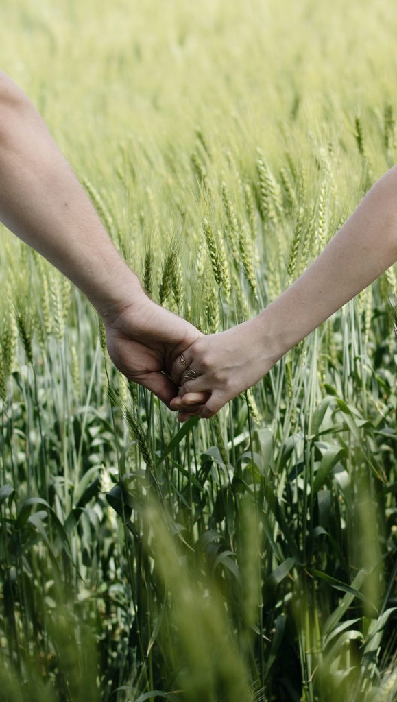 roman-hnydin-5Y8nFz8Fj2M-unsplash