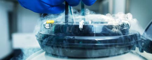 Congélation d’ovocytes: de plus en plus de centres autorisés, mais des délais encore longs